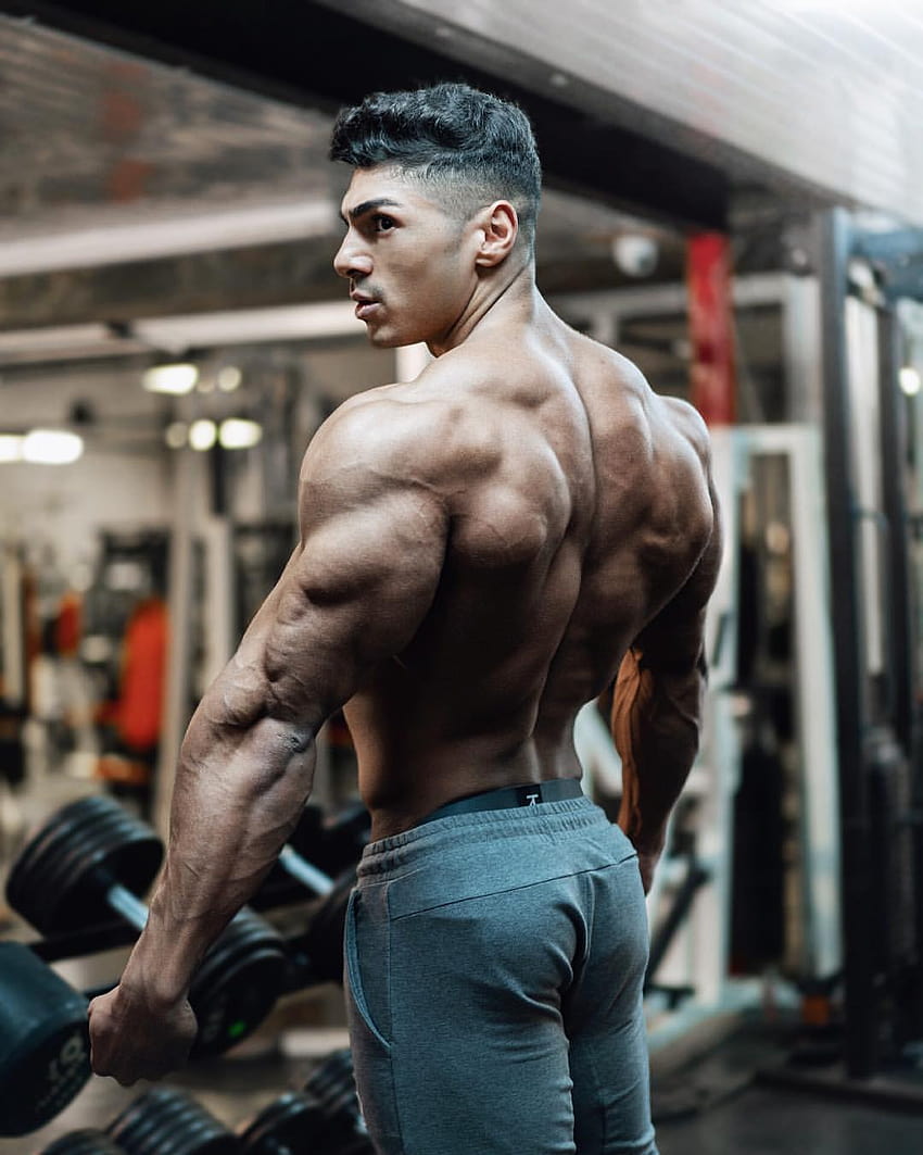 How Andrei Deiu Works Out For Physique  Strength Gains