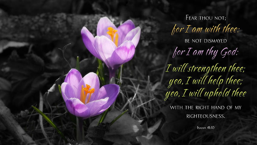 5 Spring Christian, early spring with bible verses HD wallpaper