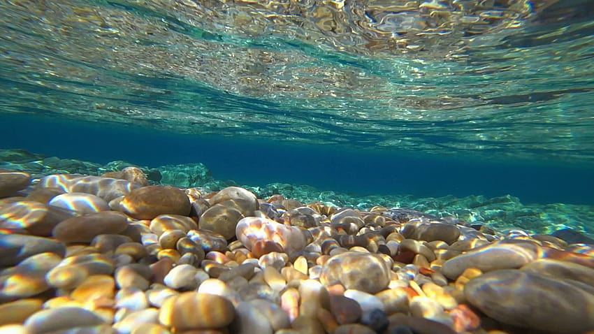Underwater Ocean Scene View con pietre colorate Stock, scena subacquea Sfondo HD