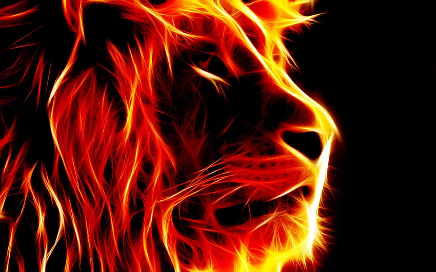 Planos de fundo 3D Lion Fire e papel de parede HD