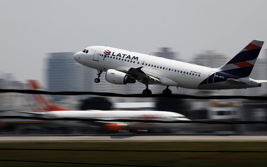 Latam Airlines губи кучето за емоционална подкрепа на семейството на Ню Йорк, лабрадудъл на име Логан HD тапет
