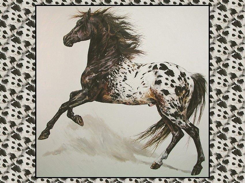 Cavallo Ethelinda Appaloosa Pittura Arte Opera d'arte equina Animale, animale appaloosa Sfondo HD