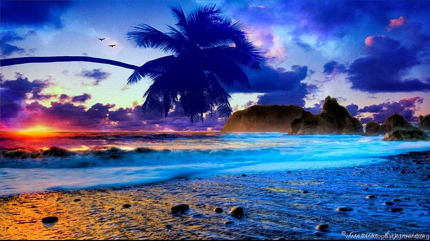 Tropical sunsets HD wallpaper | Pxfuel