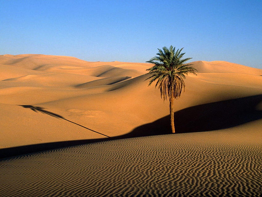 Пустинята Сахара с високо качество HD тапет