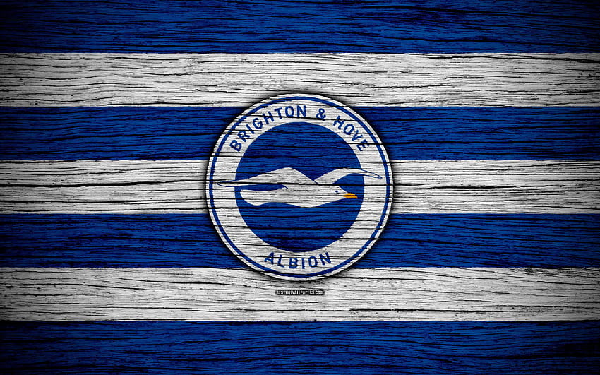 Brighton und Hove Albion, Premier League, Brighton Hove Albion fc HD-Hintergrundbild