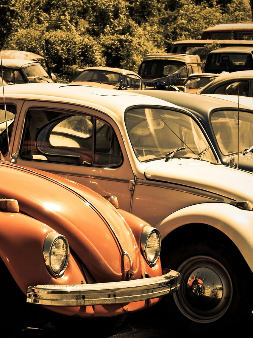 Old Volkswagen Beetle Junkyard Mobile HD phone wallpaper
