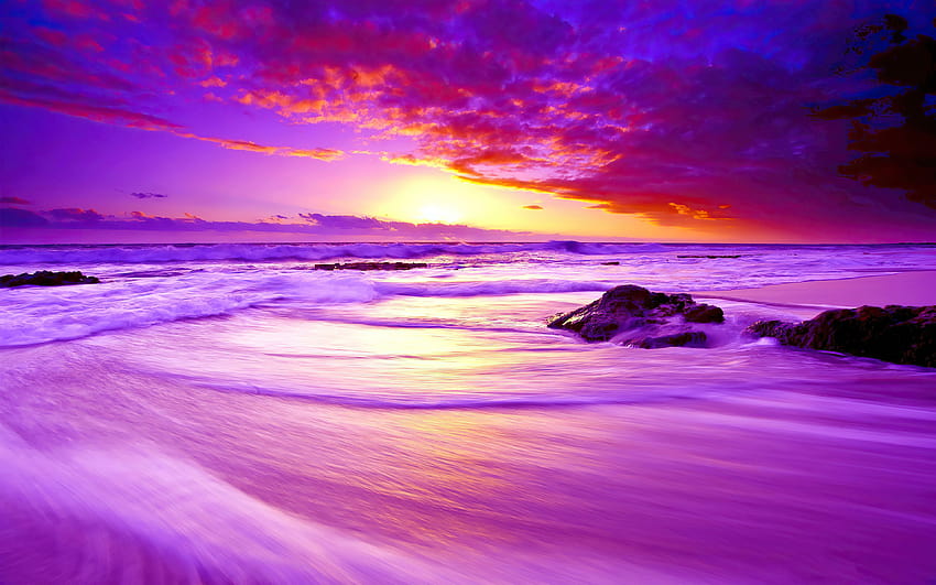 Tramonto sulla spiaggia viola, tramonto blu viola sulla spiaggia Sfondo HD
