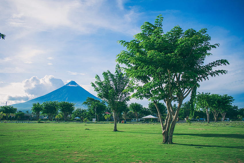 Landscape graphy of Open Field With Tree With Mayon Volcano Backgrounds · Stock HD wallpaper