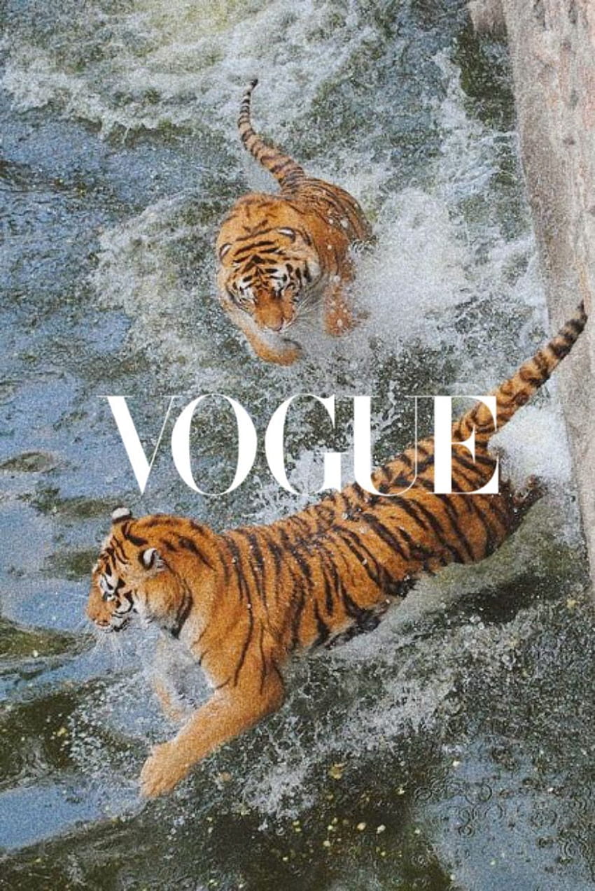 tiger x vogue, tiger aesthetic HD phone wallpaper