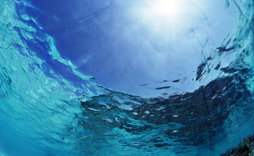 Podwodne tła przesłane przez Johna Tremblaya, okna pod wodą Tapeta HD