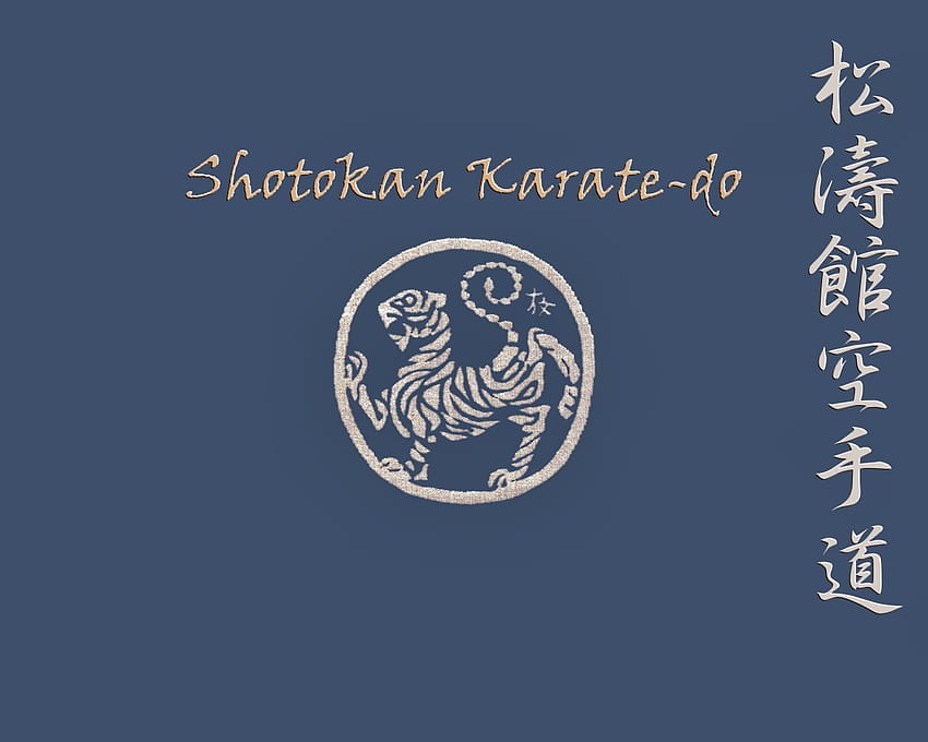 Displaying 17 For Shotokan Karate [1280x1024] for your , Mobile & Tablet HD wallpaper
