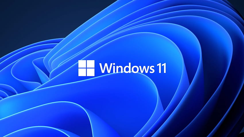 Everything You Need to Know About Windows 11 HD wallpaper