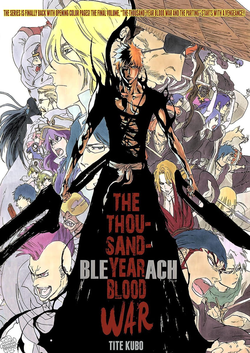 Bleach, a guerra de sangue de mil anos ichigo bankai Papel de parede de celular HD