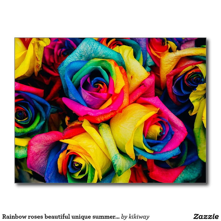 Rainbow roses beautiful unique summer flower postcard HD phone wallpaper