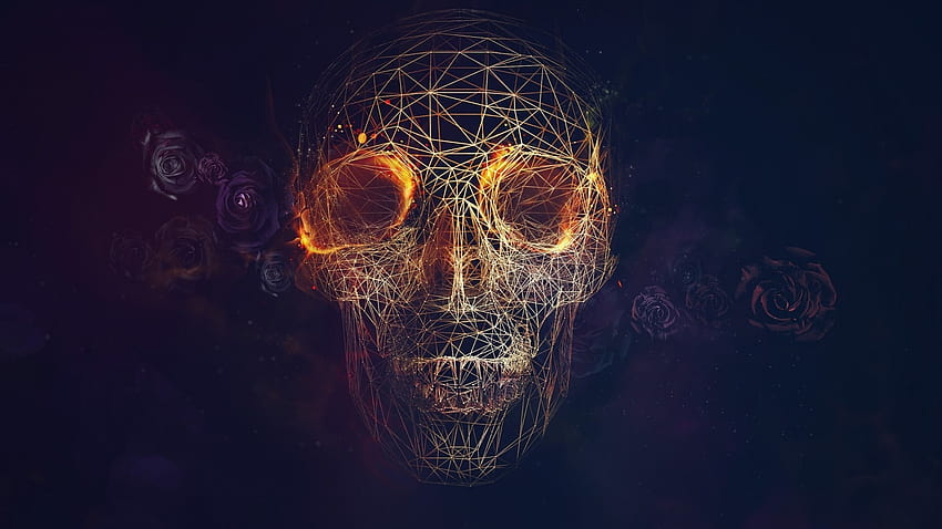 wireframe, CGI, Skull, Fire, Rose, Vectors, Lines, Blue Backgrounds / and Mobile Backgrounds HD wallpaper
