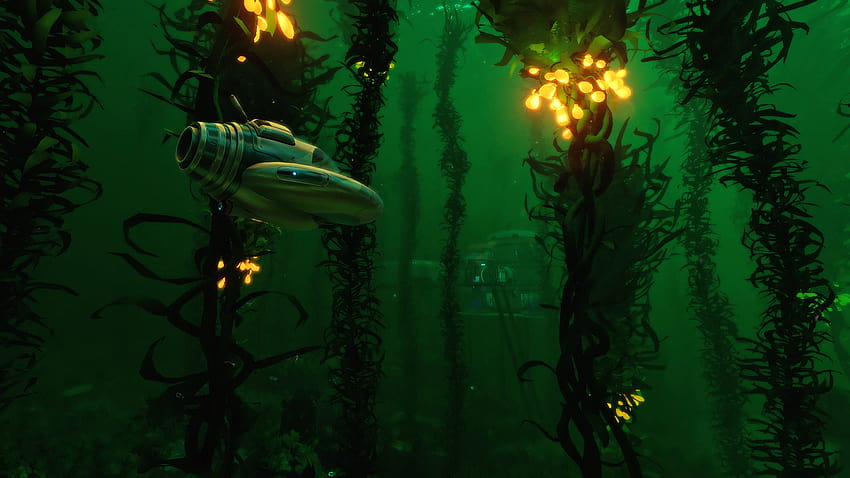 Subnautica, bosque de algas fondo de pantalla