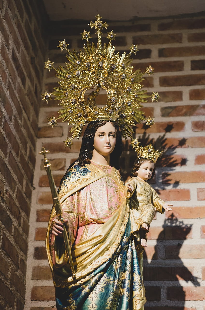 50 Virgin Mary [], velankanni matha HD phone wallpaper | Pxfuel