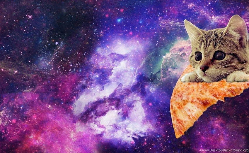 Space Pizza Cat Imgur Backgrounds, galaxy cat HD wallpaper