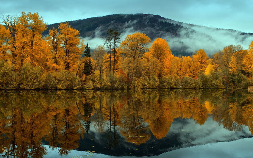 natura paesaggi alberi foresta montagne nuvole nebbia foschia cielo nuvole grigio autunno stagioni autunnali l…, autunno montagna nebbia Sfondo HD