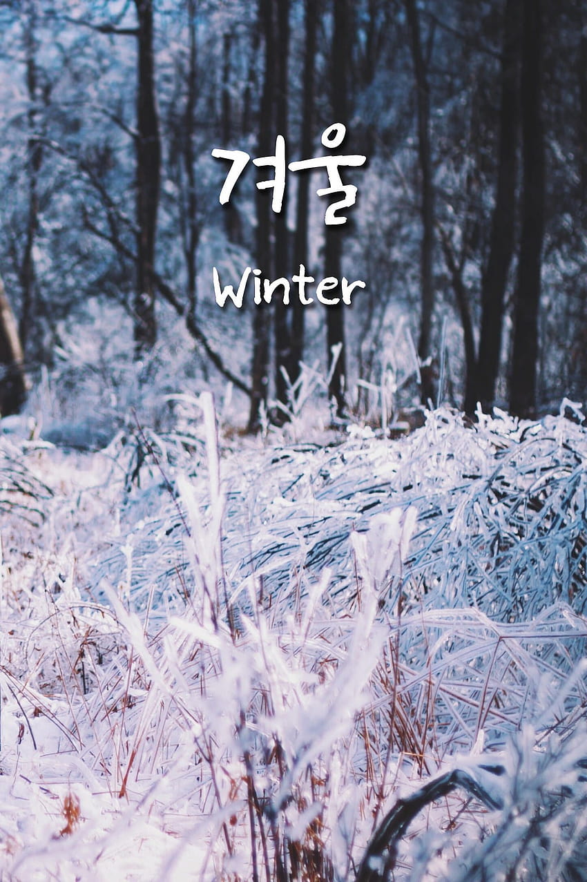 겨울, winter south korea HD phone wallpaper