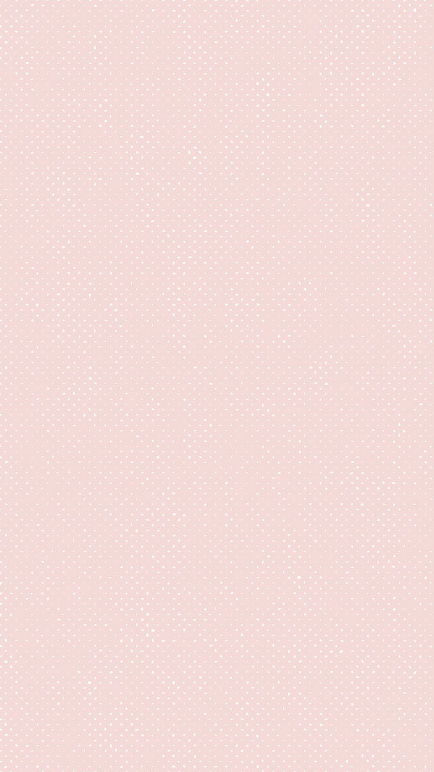 Pale Pink, blush pink HD phone wallpaper | Pxfuel