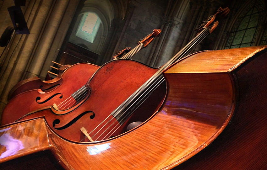 music, background, Double bass , section HD wallpaper