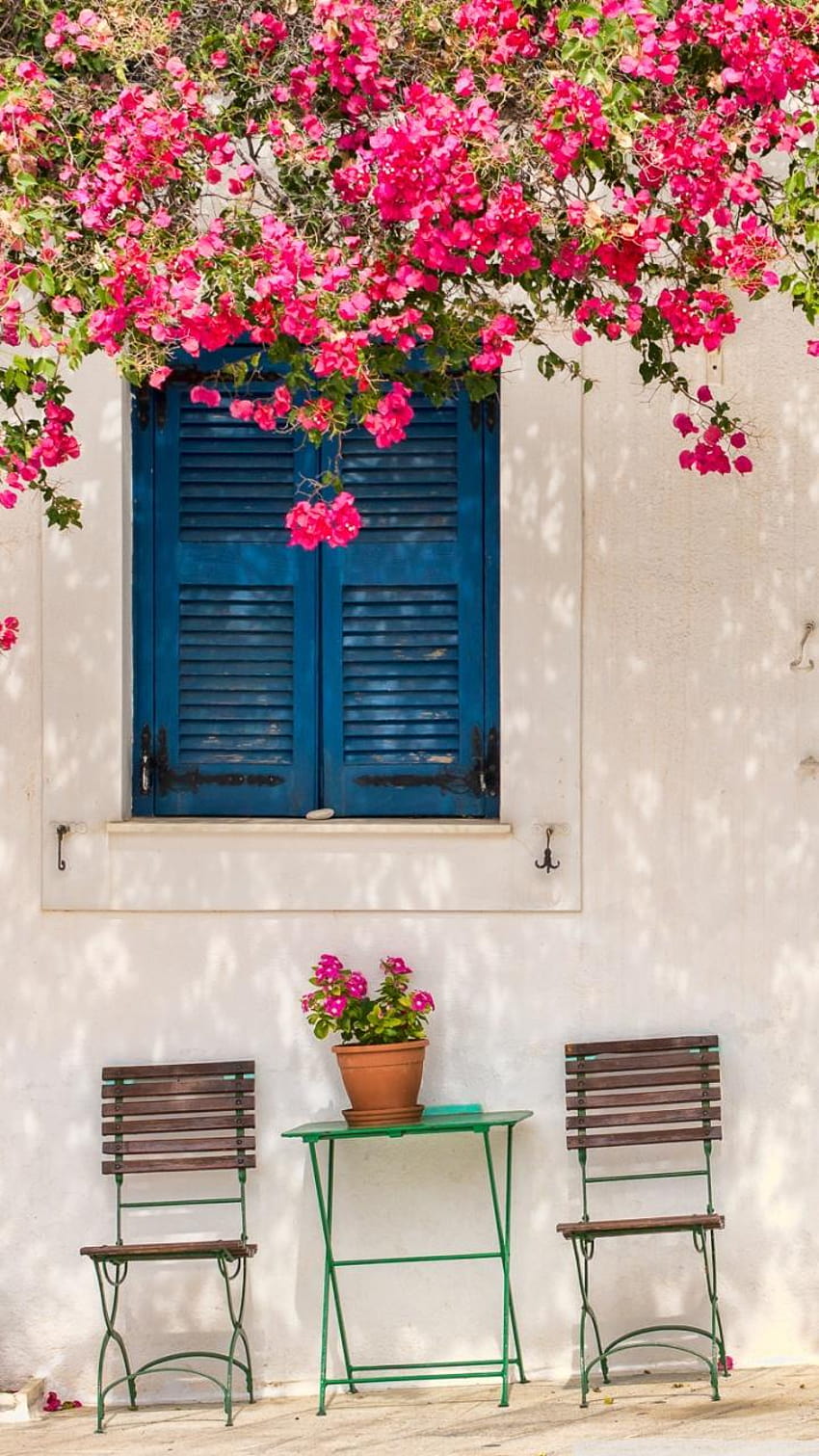 그리스 파로스 섬에 꽃이 있는 전통 그리스 집, 발코니 꽃 안드로이드 HD 전화 배경 화면