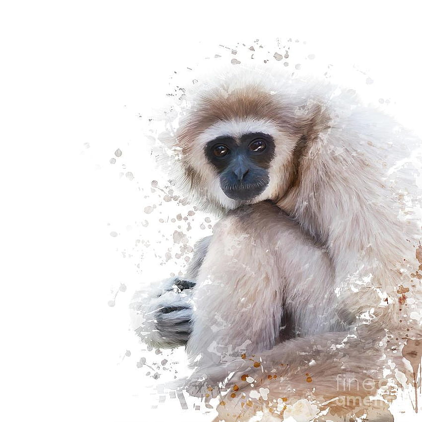 Watercolor Portrait Of White, lar gibbon primate HD phone wallpaper