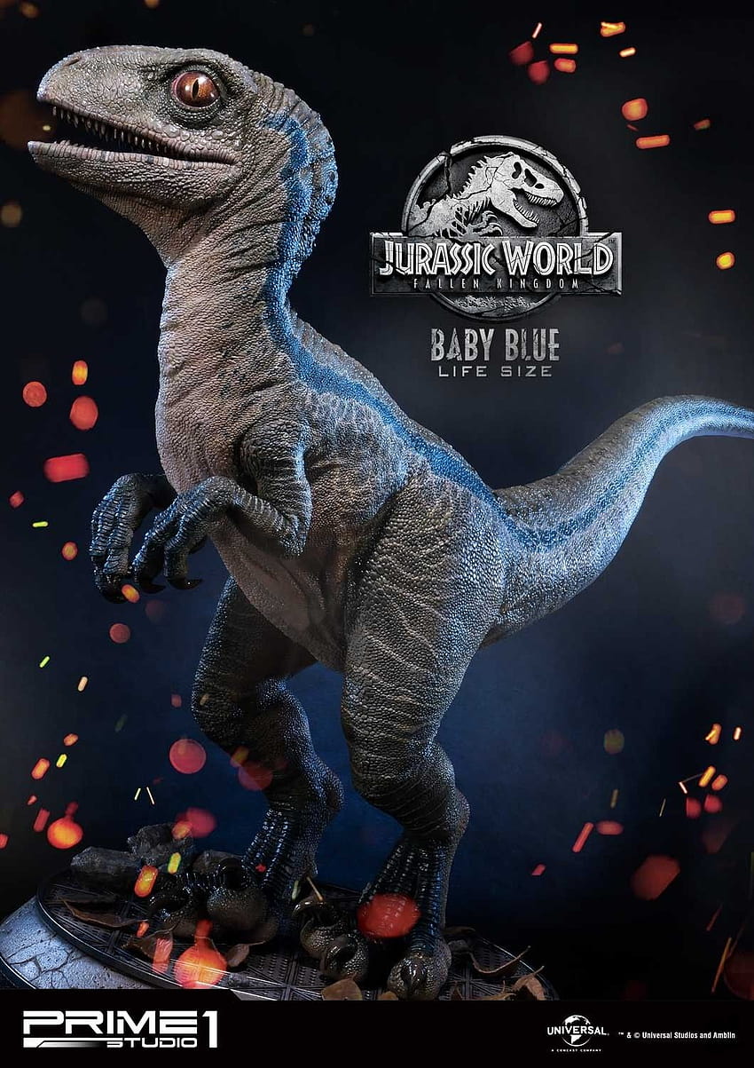 Life Size Baby Blue Statue by Prime 1 ...news.toyark, blue the velociraptor HD phone wallpaper