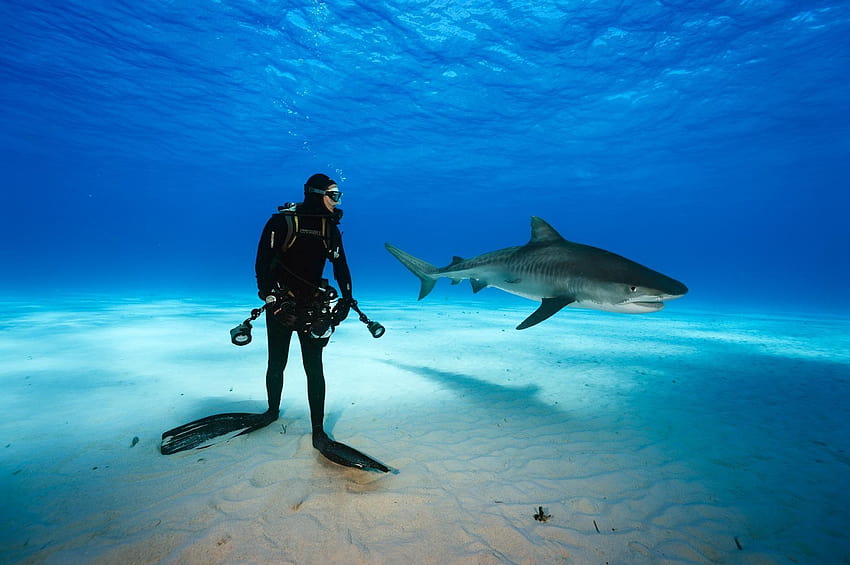 6 Bahamas Diving, diver HD wallpaper