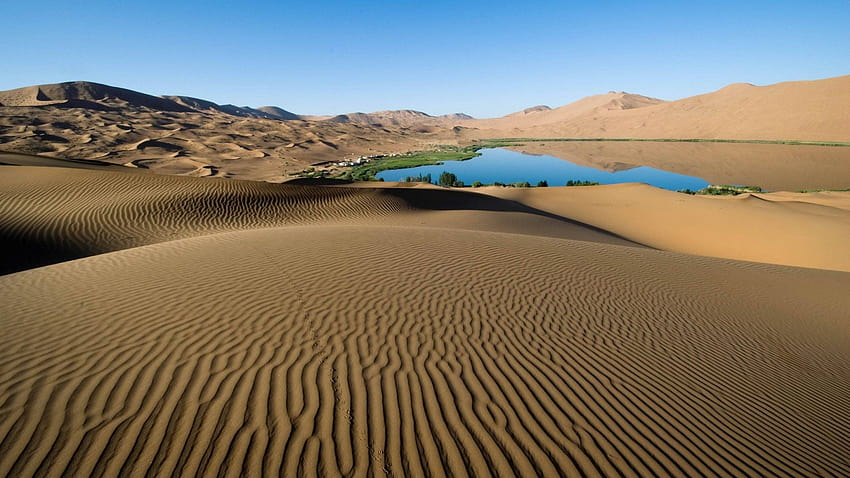 : пейзаж, природа, пустиня, пустиня, дюна, вятър, сухо, живописен, топлина, на открито, сенки, вълнички, плато, местообитание, екосистема, Сахара, вади, ерг, пясъчни дюни, естествена среда, географска характеристика, еолийска форма на релефа 2200x1237, пустинна екосистема HD тапет