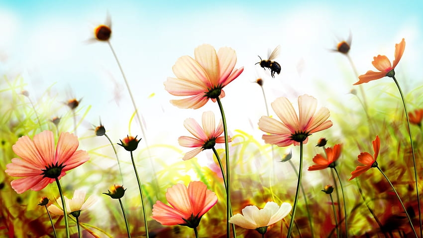 Flowers, , spring, art, Nature, horizontal spring HD wallpaper