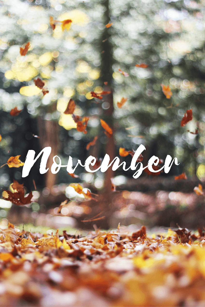 Hello, November/Leaves Falling.... www.simplystine, welcome autumn HD ...