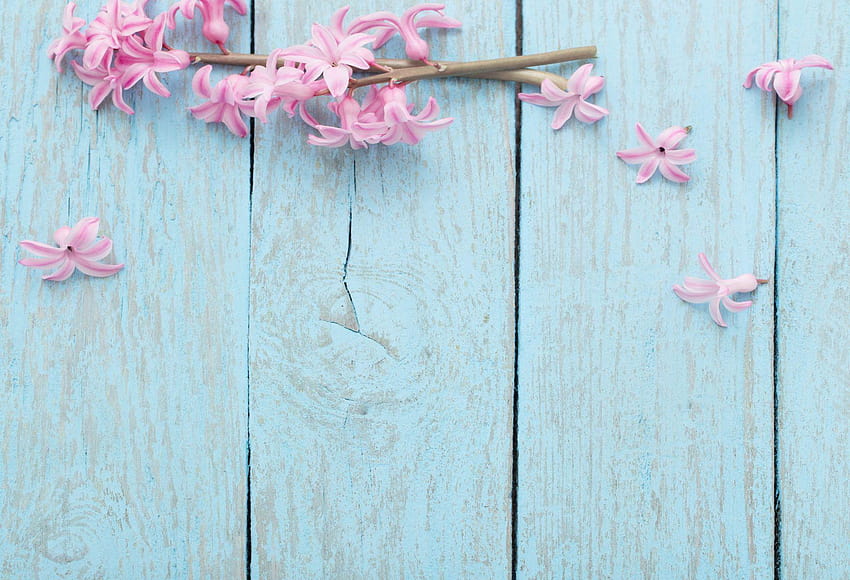 s de madera azul con flores rosas fondo de pantalla