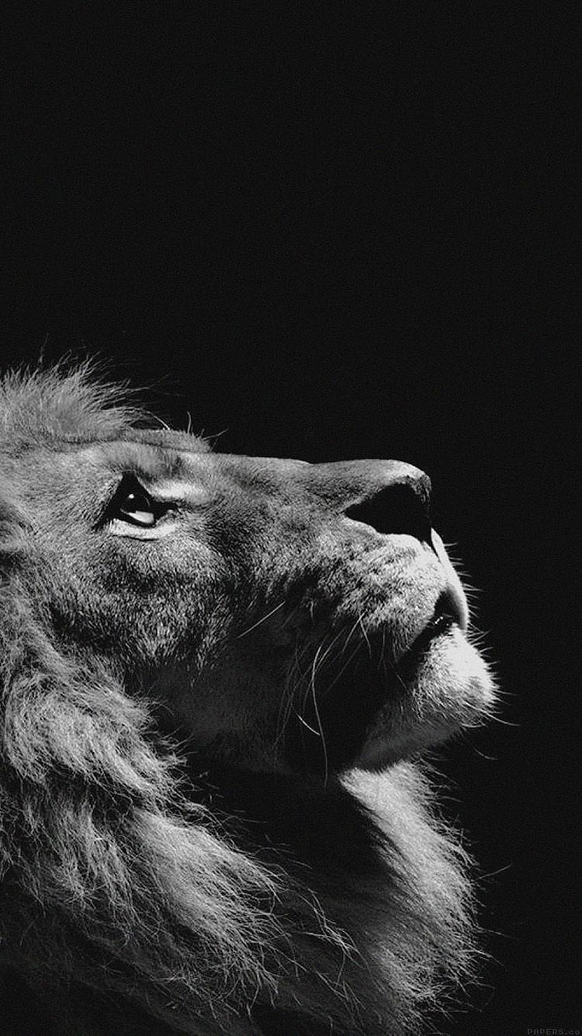 ↑↑TAP AND GET THE APP! Animals Lion Eyes Black and White HD phone wallpaper