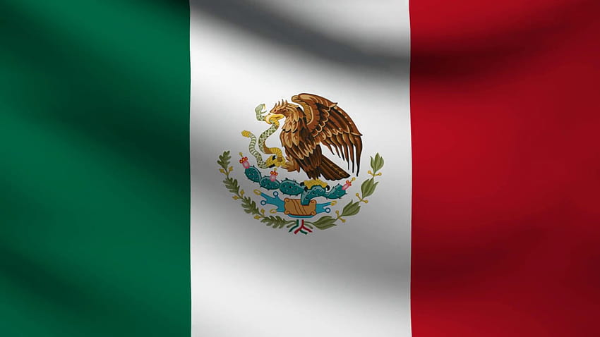 Mexico on dog HD wallpapers | Pxfuel