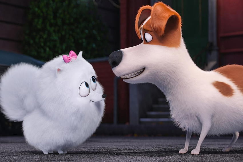 The Secret Life Of Pets' Is Much Better Than The Commercials Led You To Believe HD wallpaper