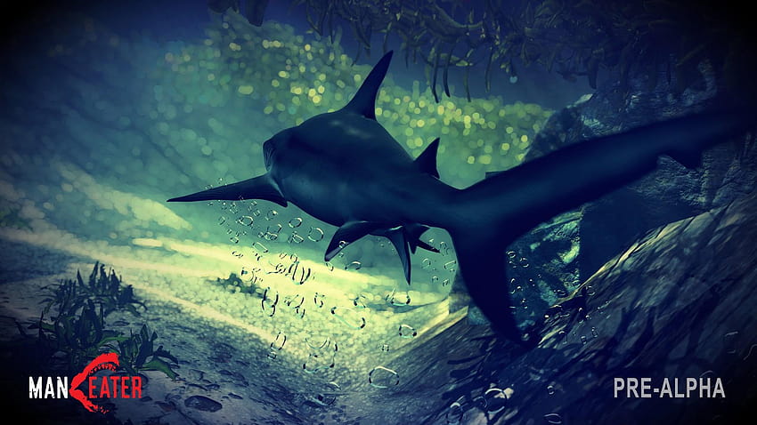 Jaws Unleashed in New from Video Game 'Maneater,' Where You HD wallpaper