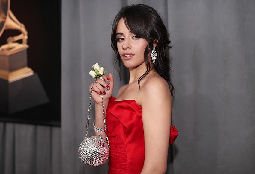 Camila Cabello discusses overcoming anxiety and how she coped with being 'incredibly nervous', camila cabello dont go yet HD wallpaper