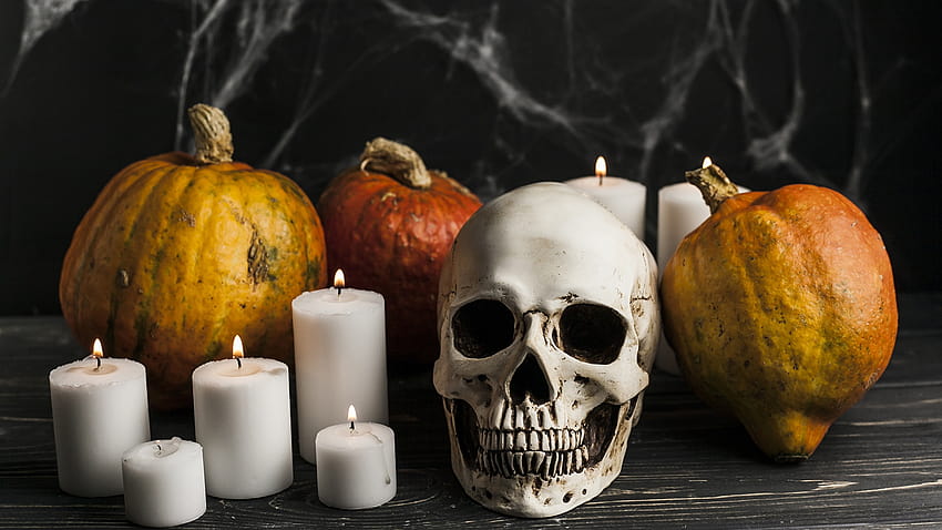 Skulls Candles Halloween Pumpkin 2560x1440, halloween 2560x1440 HD ...