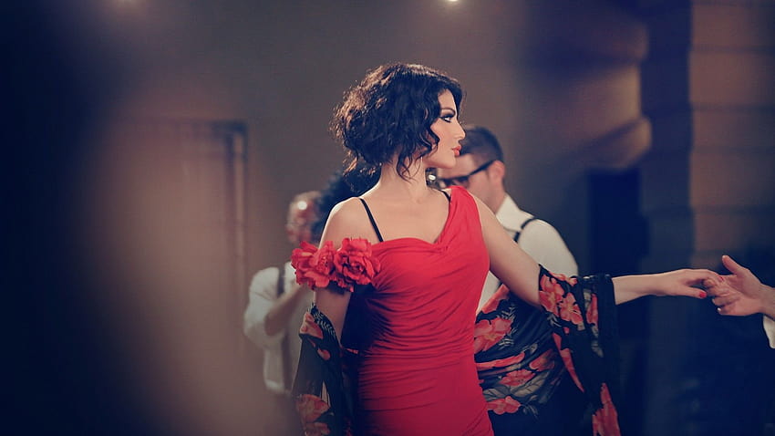 สีน้ำตาล ผู้หญิง ดนตรี นักแสดง นางแบบ ป๊อป เลบานอน นักร้อง อาหรับ Haifa Wehbe อาหรับ :: วอลล์เปเปอร์ HD