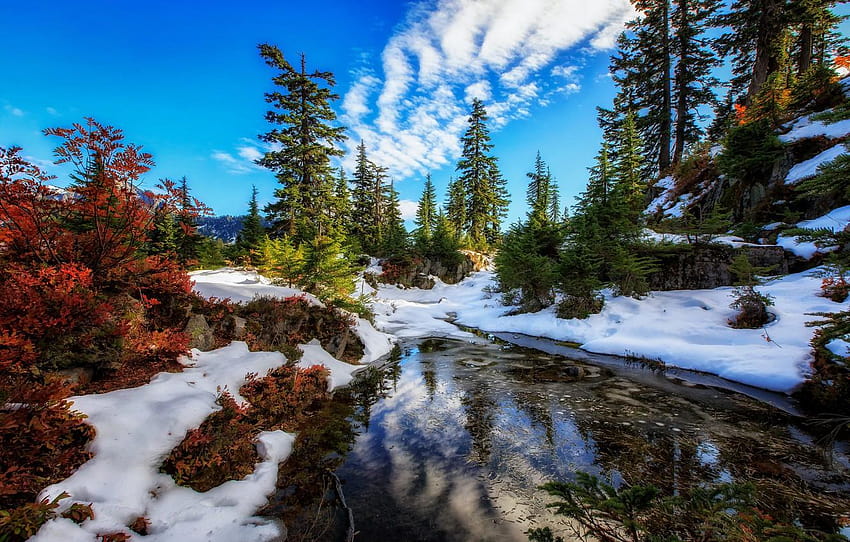 snow, trees, lake, Washington, Washington State, alpine winter HD wallpaper