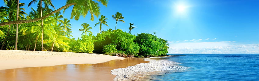 Pantai indah, pohon palem, laut, sinar matahari, tropis, panorama pantai tropis Wallpaper HD