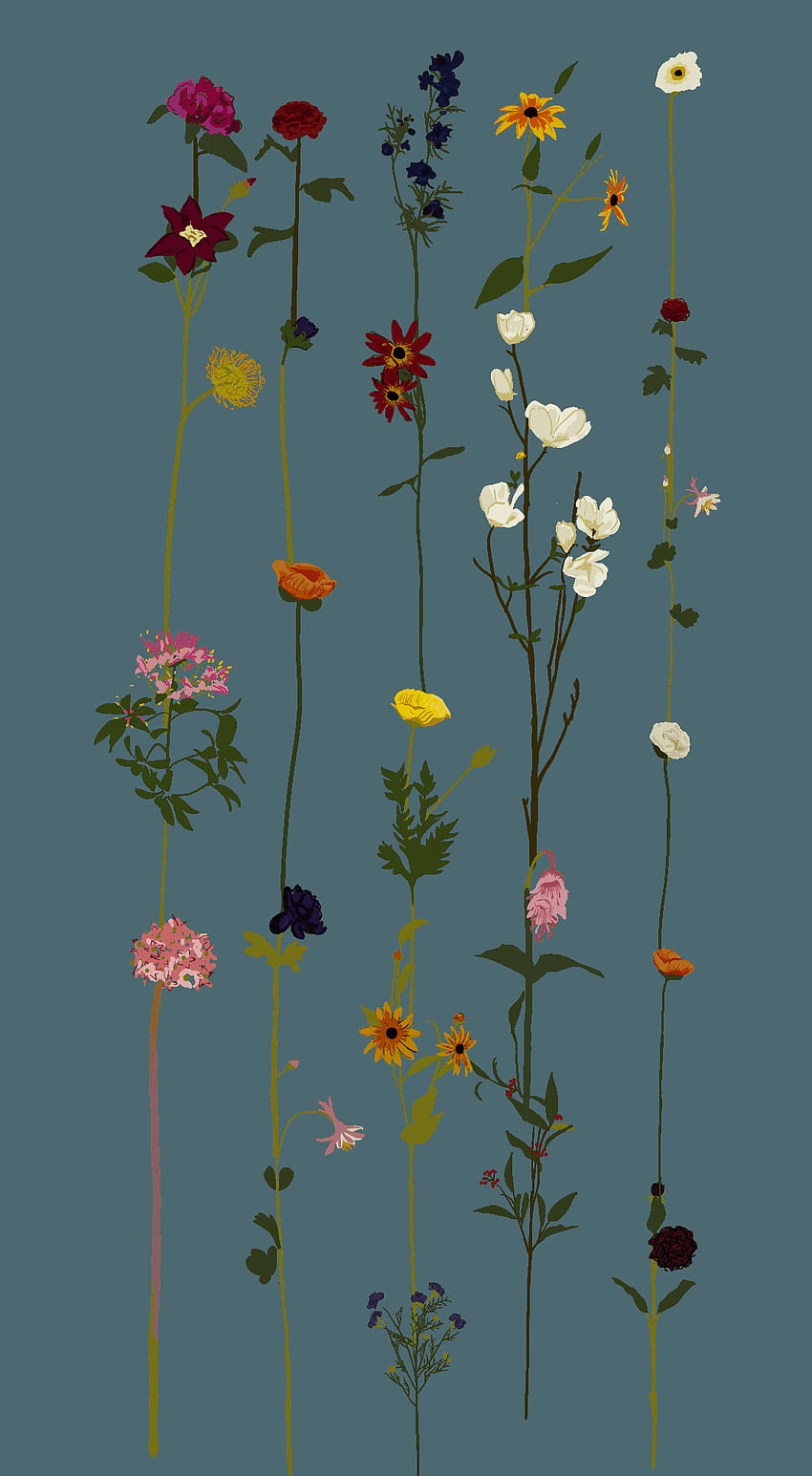 Floral minimaliste, fleur minimale Fond d'écran de téléphone HD