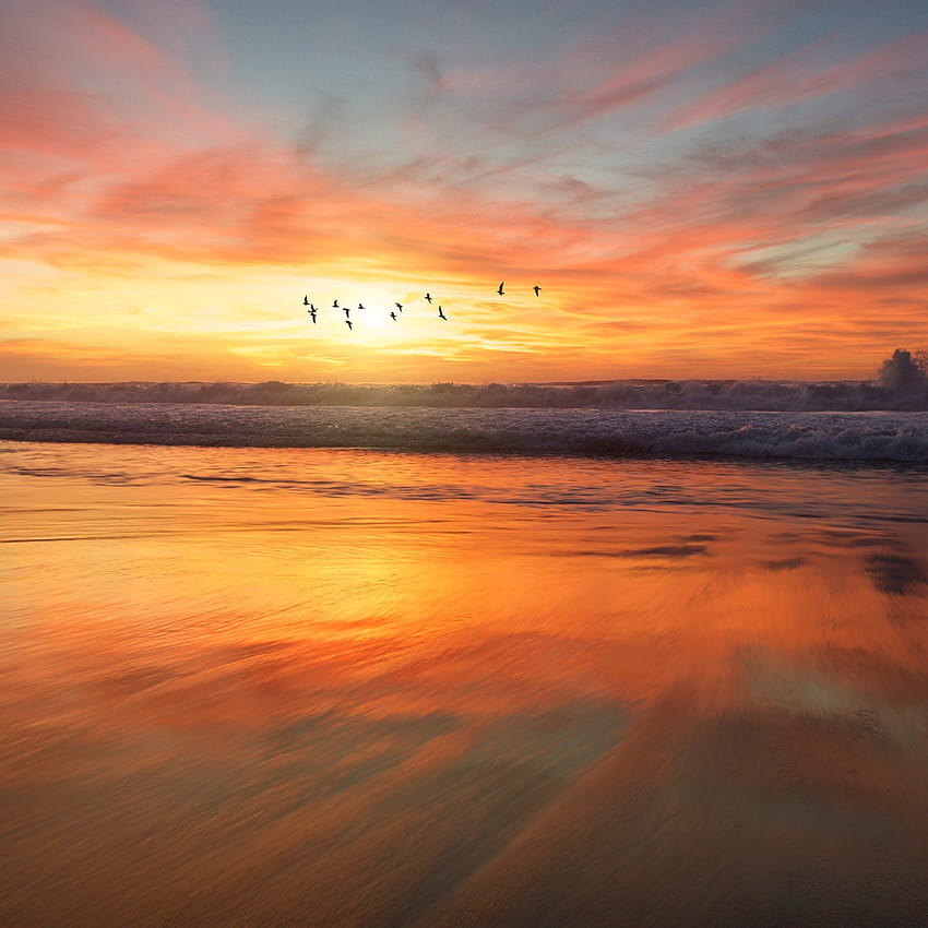 พระอาทิตย์ตก ทะเล ธรรมชาติ สีส้ม ฤดูร้อน ท้องฟ้า นก iPad Air ท้องฟ้ามหาสมุทรในฤดูร้อน วอลล์เปเปอร์โทรศัพท์ HD