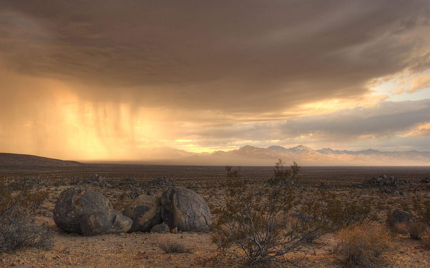 2560x1600 Desert, Stones, Sky, Bushes, Clouds, distance HD wallpaper
