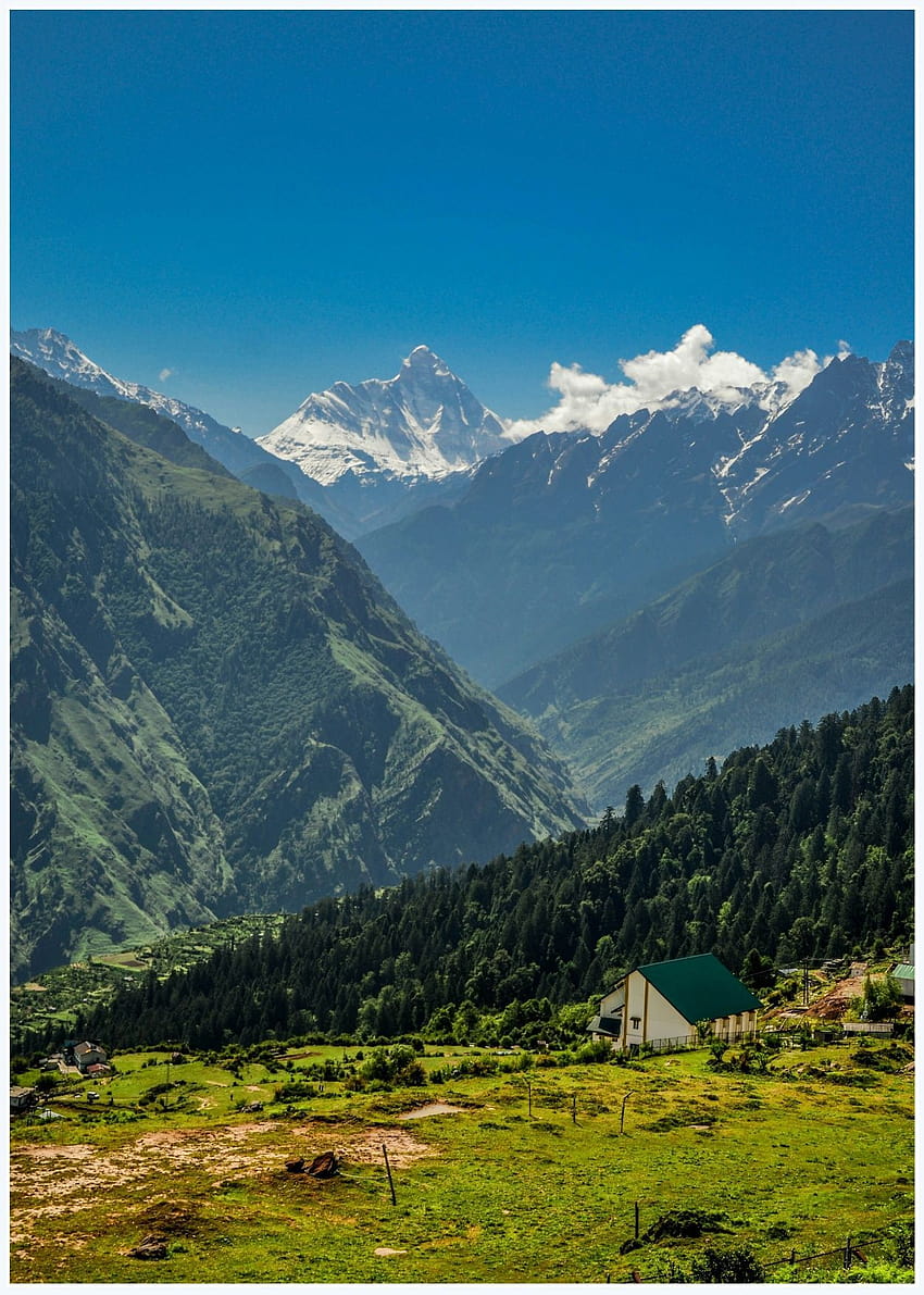 Nanda Devi Valley Auli Uttarakhand India in 2019 HD phone wallpaper