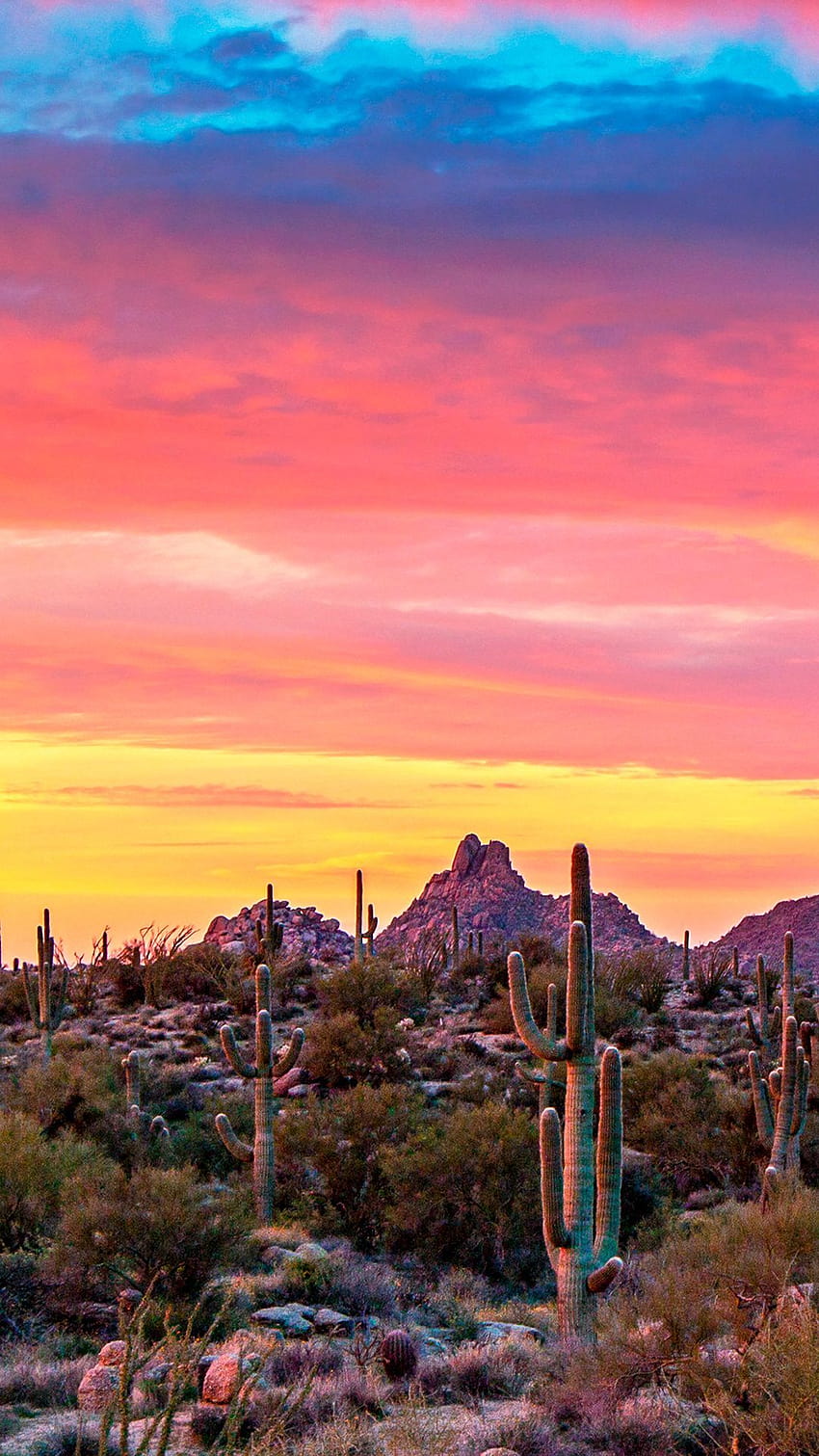 Tętniący życiem pustynny wschód słońca w Scottsdale AZ z Pinnacle Peak w iPhone'ie na pustyni Phoenix w Arizonie Tapeta na telefon HD