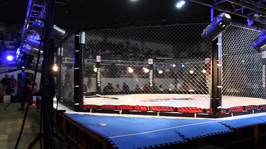 Mma Cage, ufc cage HD wallpaper