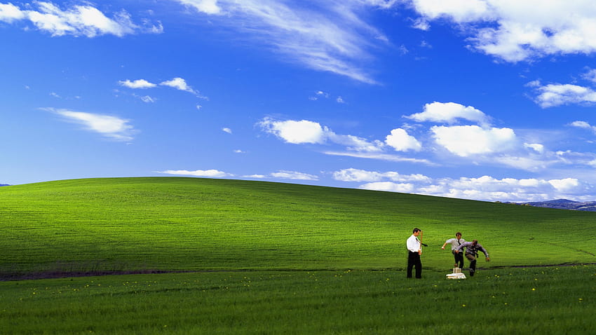 Office Space Windows XP bliss HD wallpaper
